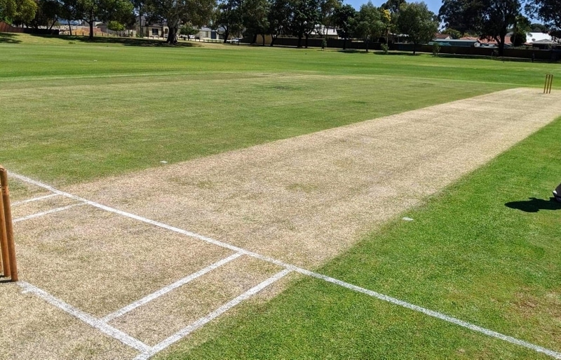 Balcatta batter driving through the covers